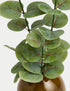 Marks & Spencer "Artificial Eucalyptus in Ceramic Pot"
